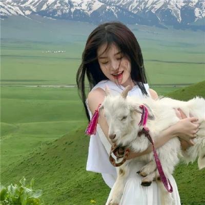 荡女狂夫